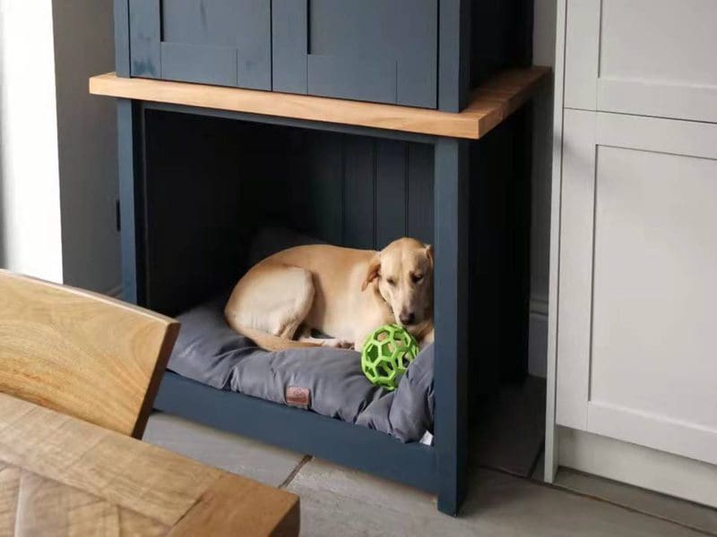 Luxury Pet Furniture